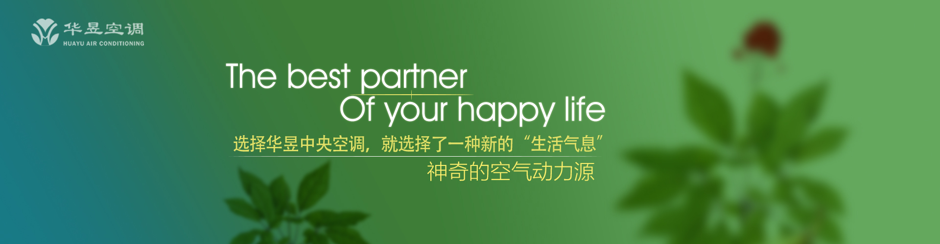 道听途说网